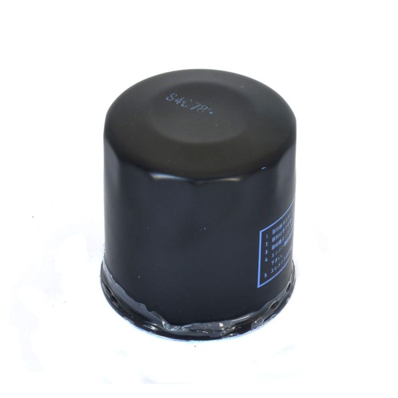 Athena 1994 KTM EGS WP/E 400 Oil Filter FFP003 FFP003 Photo - Primary