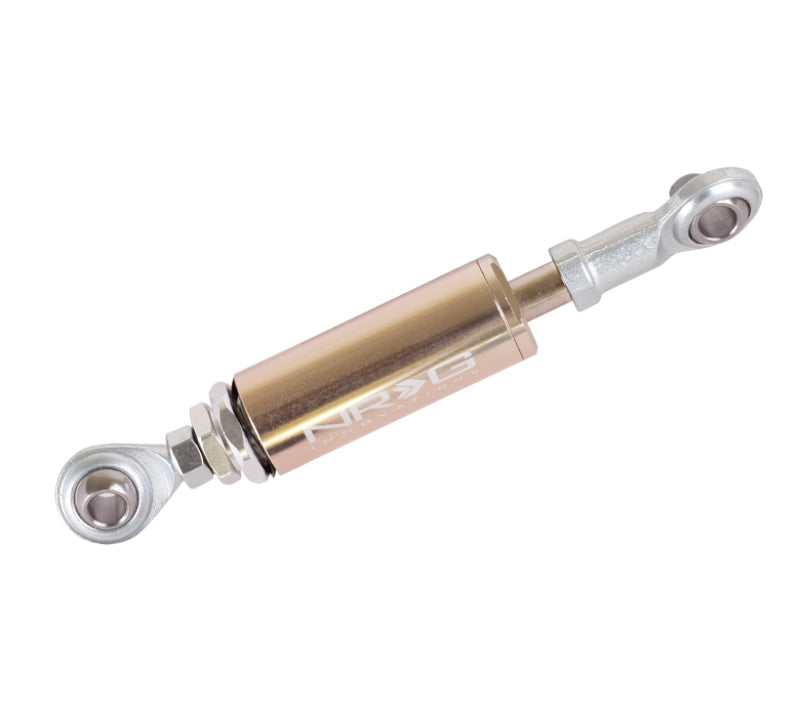 NRG Engine Damper - S2000 - Silver EDA-402SL Photo - Primary