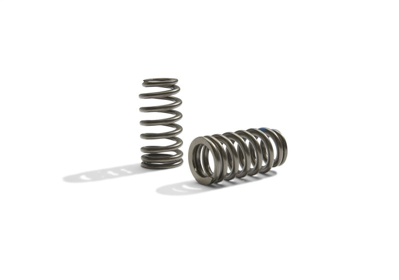 Ford Boss 302R Valve Spring Kit 2011-up 5.0L Engine FRDM6513-M50BR M-6513-M50BR Photo - Unmounted