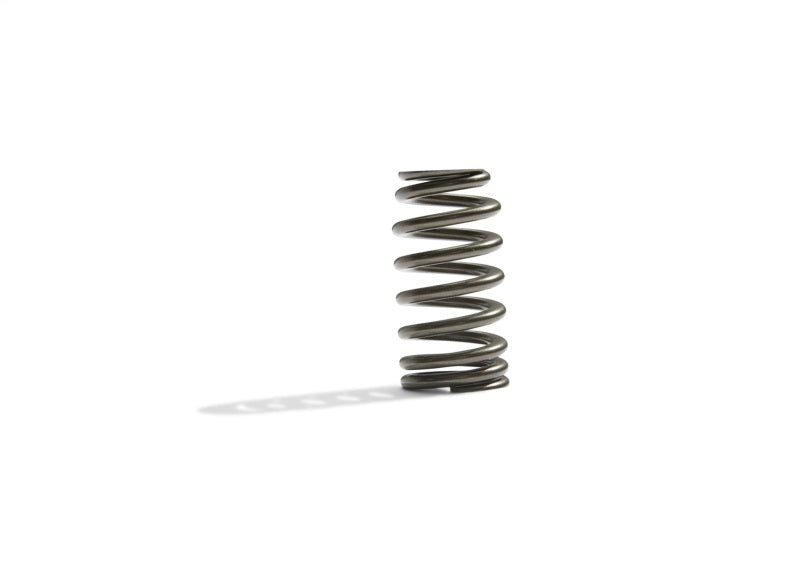 Ford Boss 302R Valve Spring Kit 2011-up 5.0L Engine FRDM6513-M50BR M-6513-M50BR Photo - Unmounted