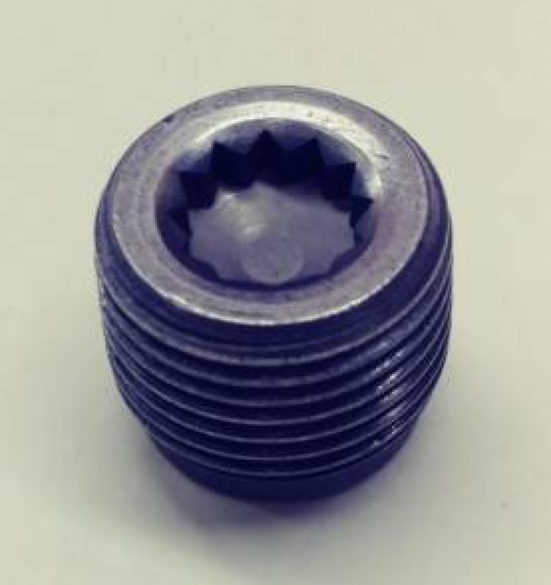 Exergy LML M16x1.5 Fuel Rail Plug Kit 1-029-022 1-029-022 User 1