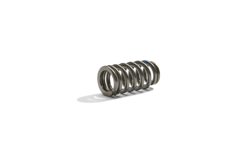 Ford Boss 302R Valve Spring Kit 2011-up 5.0L Engine FRDM6513-M50BR M-6513-M50BR Photo - Unmounted