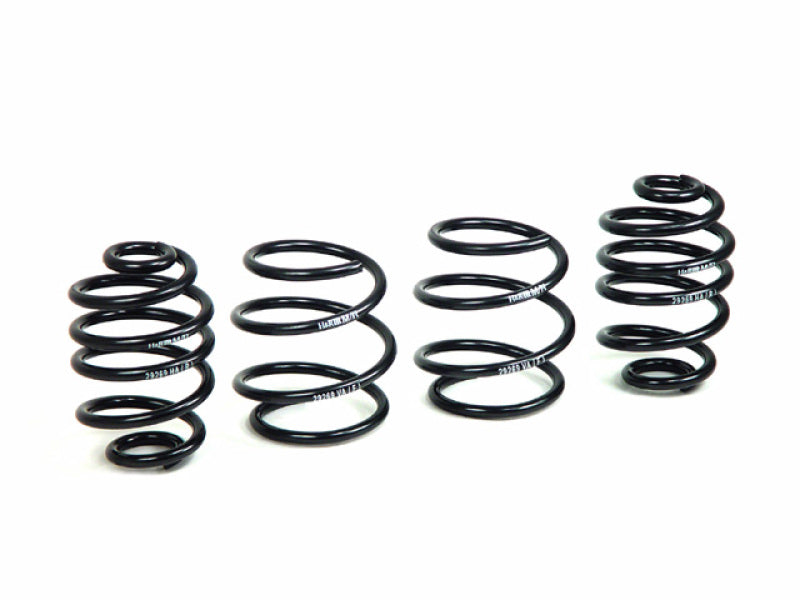 H&R Sport Springs BMW Z4 2003-2008 50421 Photo - Primary