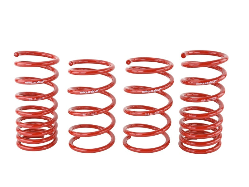 Skunk2 Lowering Springs - FR-S BRZ 519-12-1001 Photo - Unmounted