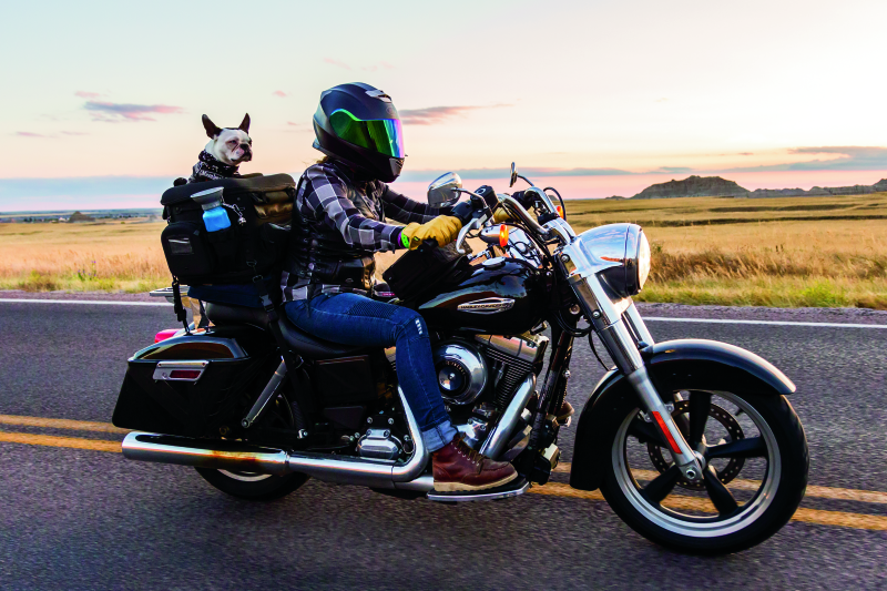 Kuryakyn Grand Pet Palace 5288 5288 User 3