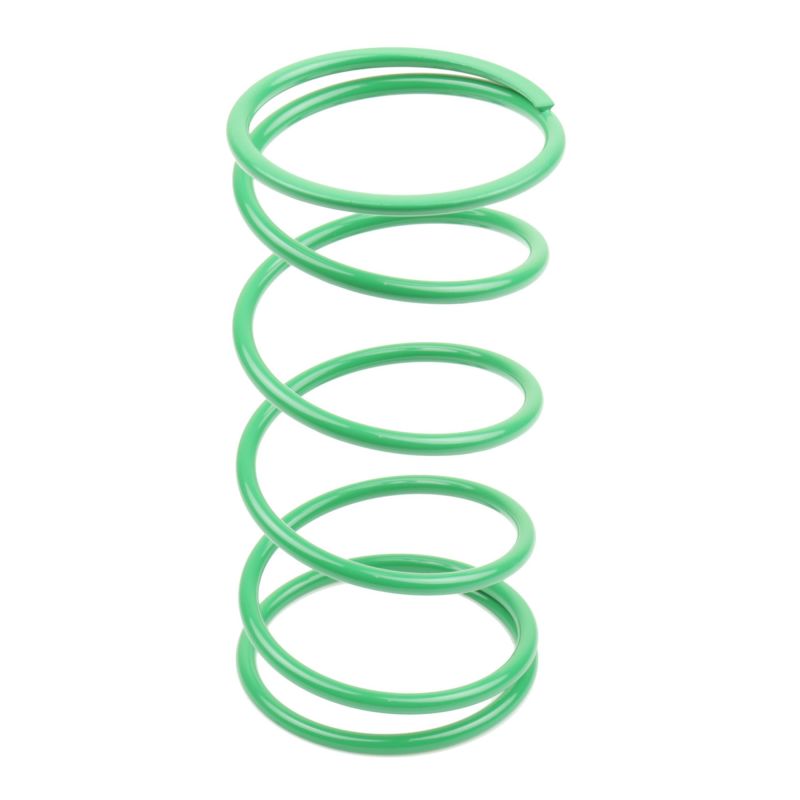 Athena BSV DIO GP 50 25Kg Green Contrast Spring (Bore 50mm) 070496 070496 Photo - Primary
