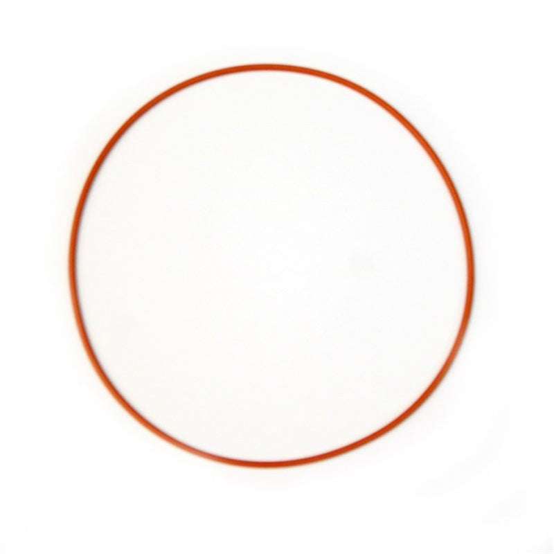 Nitrous Express Replacement O-Ring Gasket for Coyote Plate 16249 16249 Photo - Primary