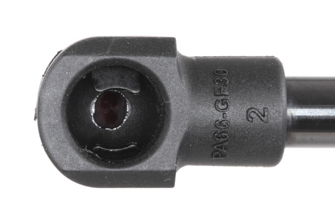 ACKOJA Tailgate Lift Support A37-0157