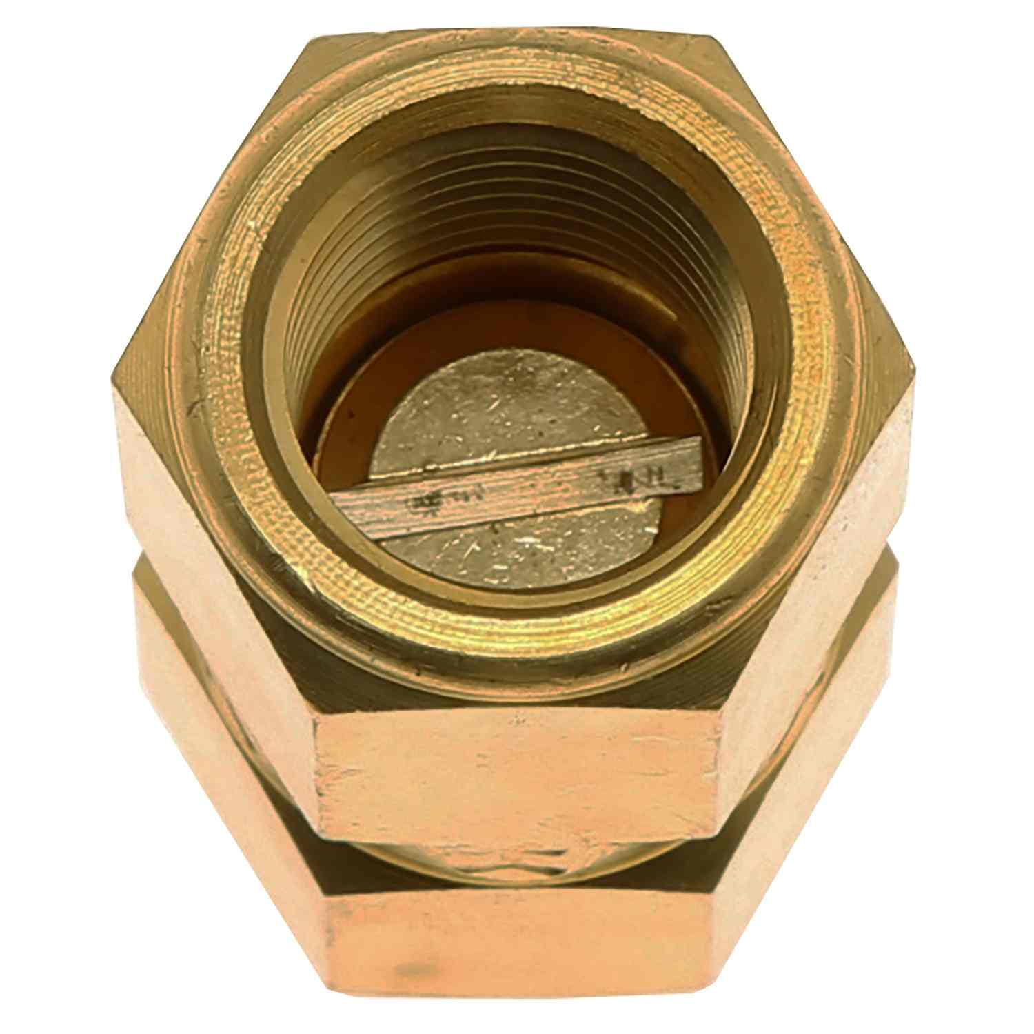 Carter Fuel Pump Check Valve 169-1002