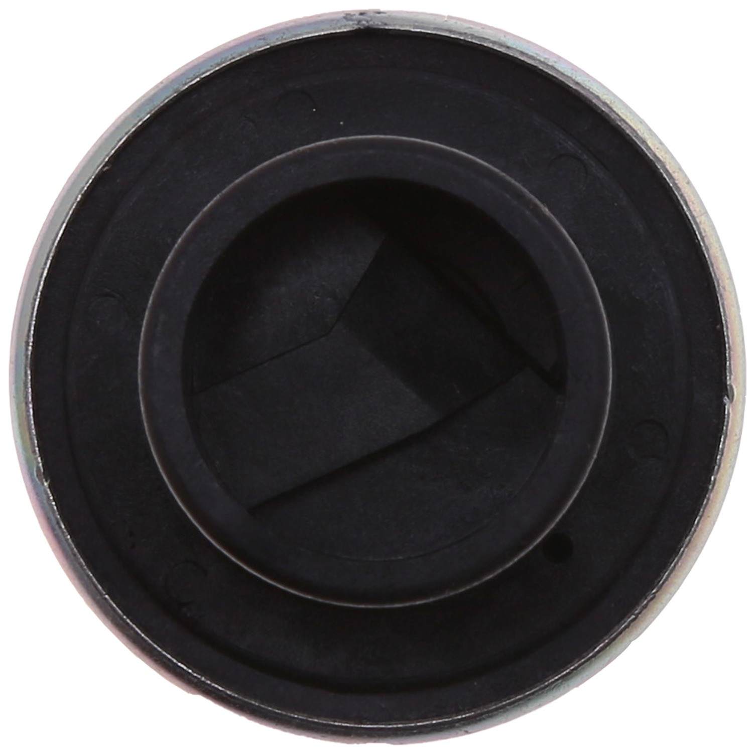 Carter Electric Fuel Pump P74082