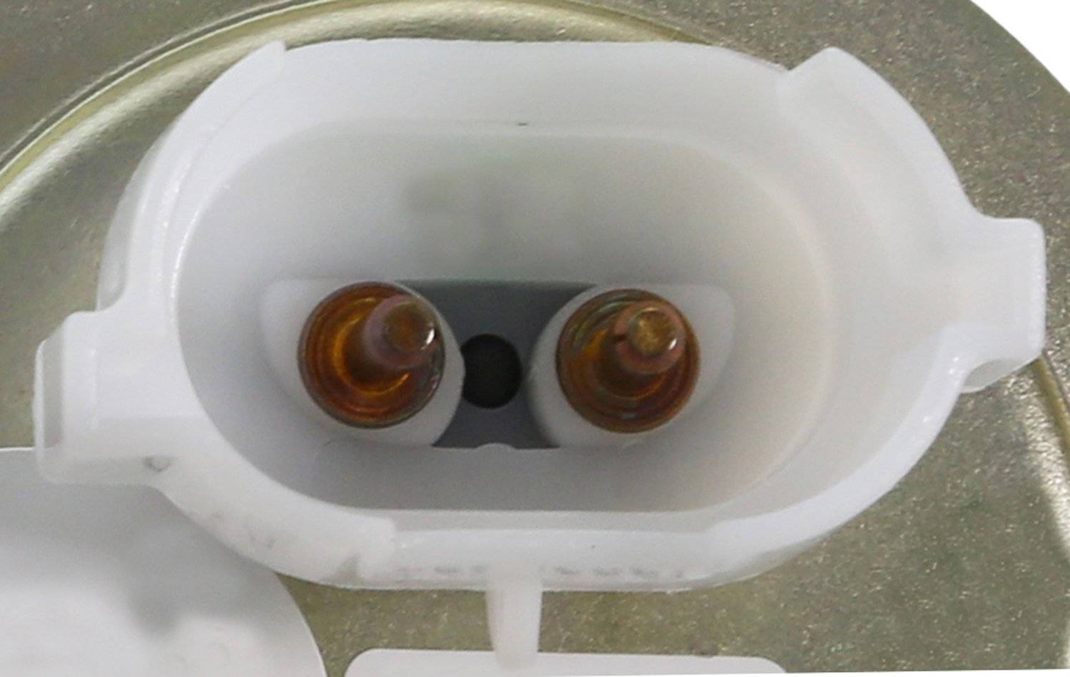 Carter Fuel Pump Hanger Assembly P74821H