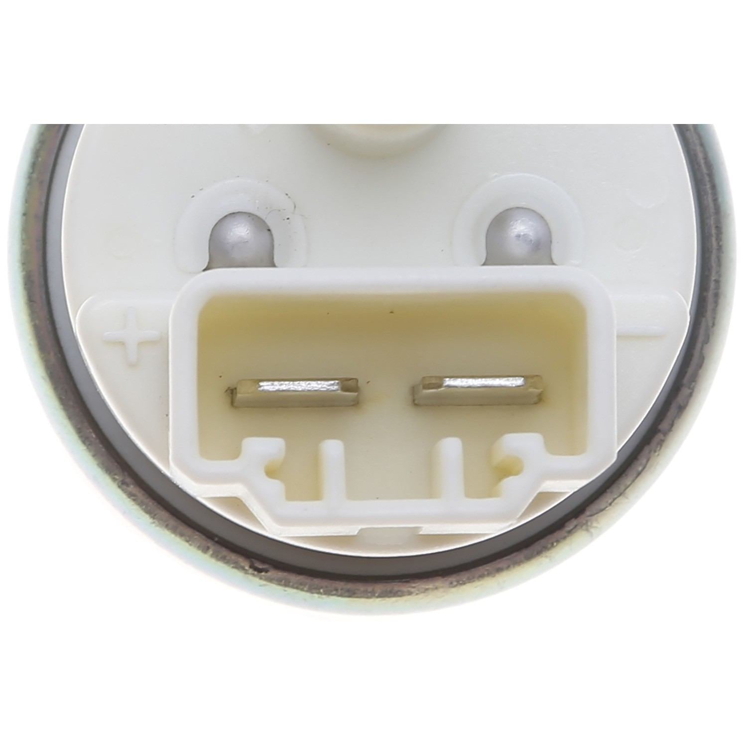 Carter Fuel Pump and Strainer Set P76819