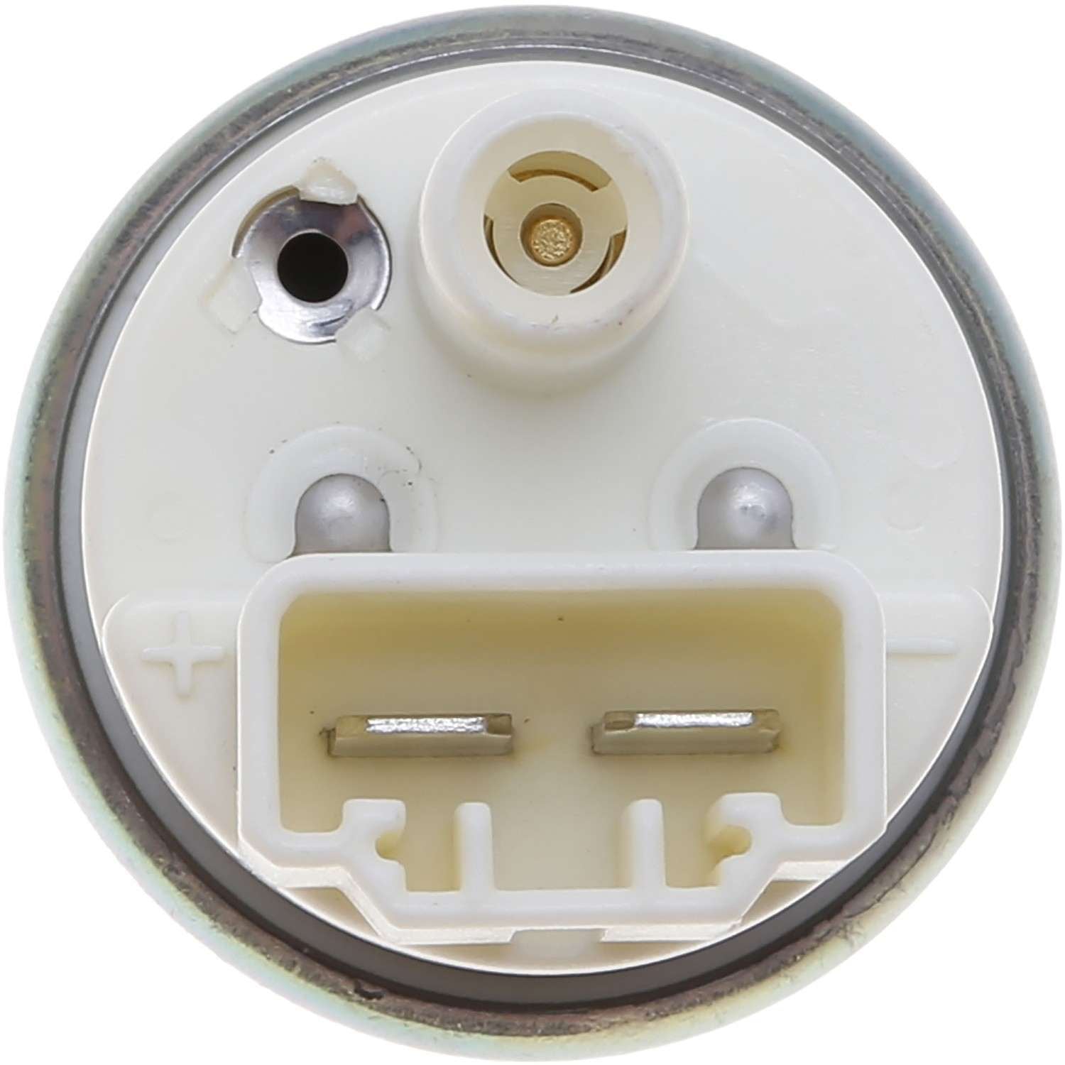 Carter Fuel Pump and Strainer Set P76819