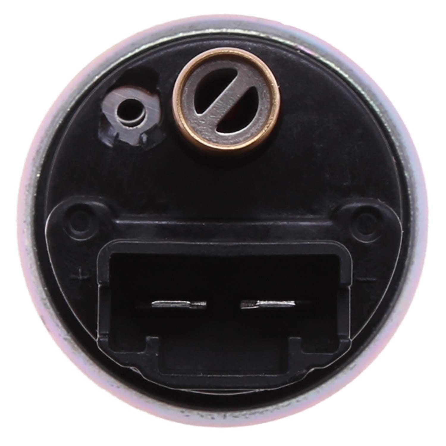 Carter Fuel Pump and Strainer Set P90019