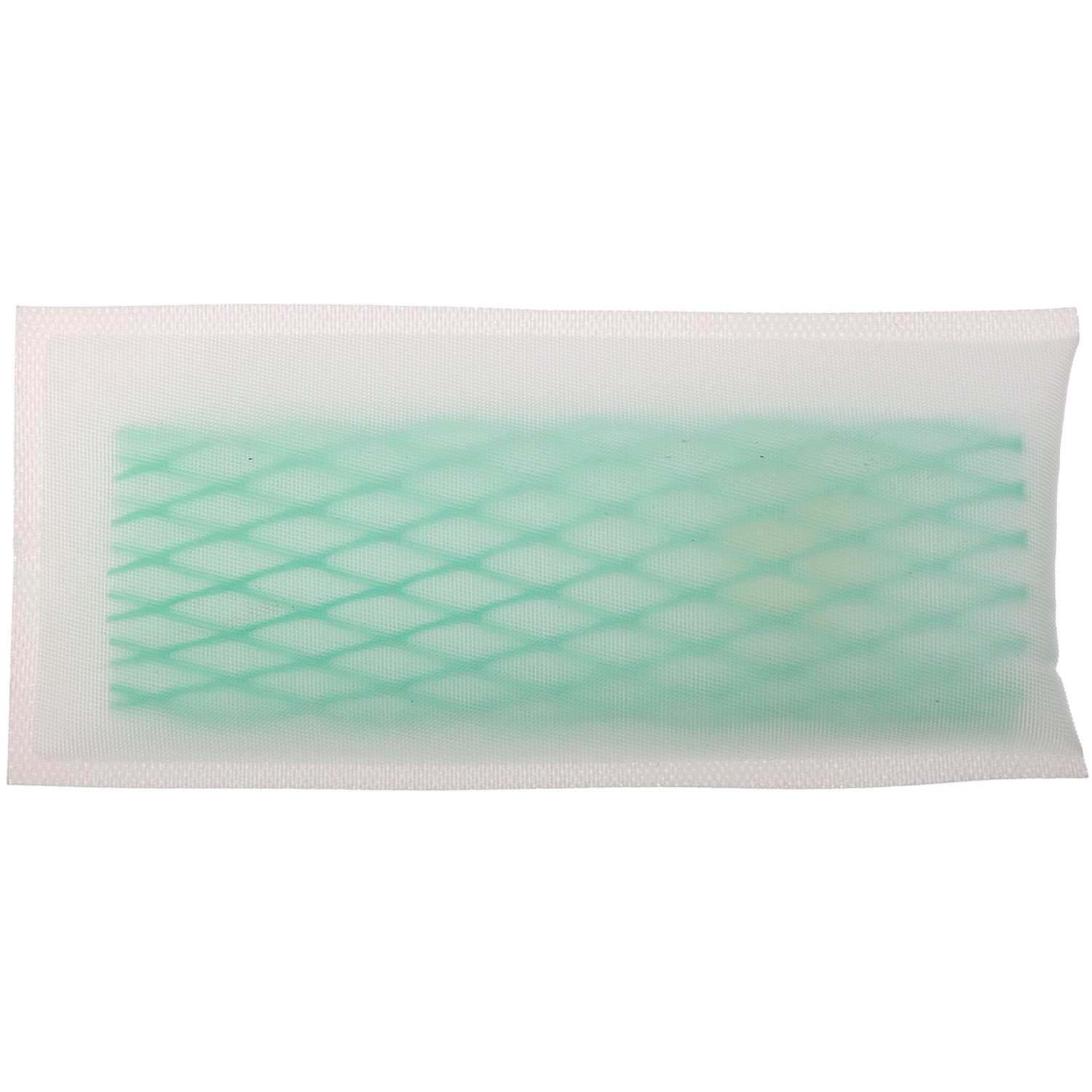 Carter Fuel Pump Strainer STS-134