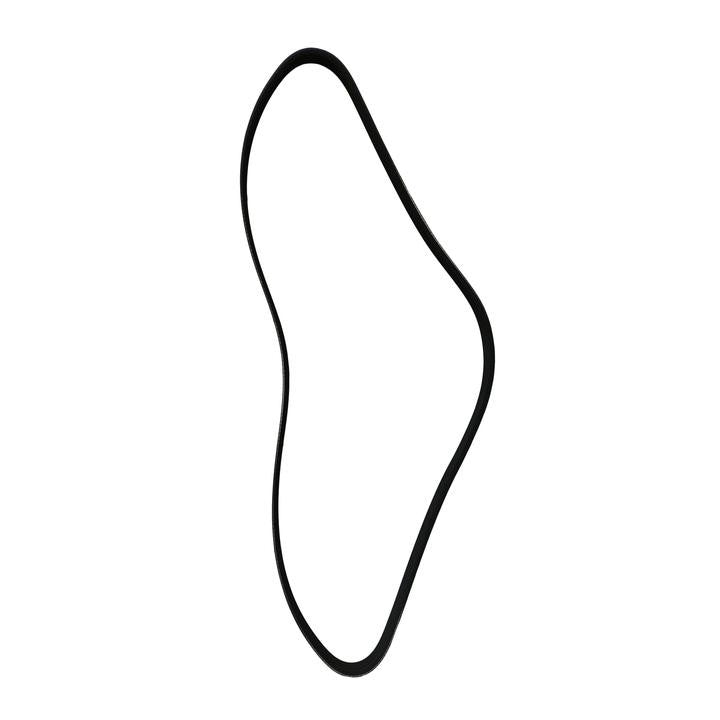 SKP Serpentine Belt SK040420