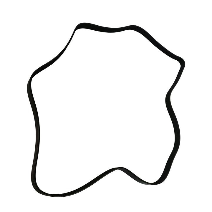 SKP Serpentine Belt SK060795