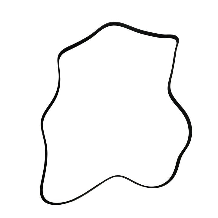 SKP Serpentine Belt SK060956