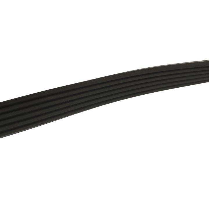 SKP Serpentine Belt SK061016