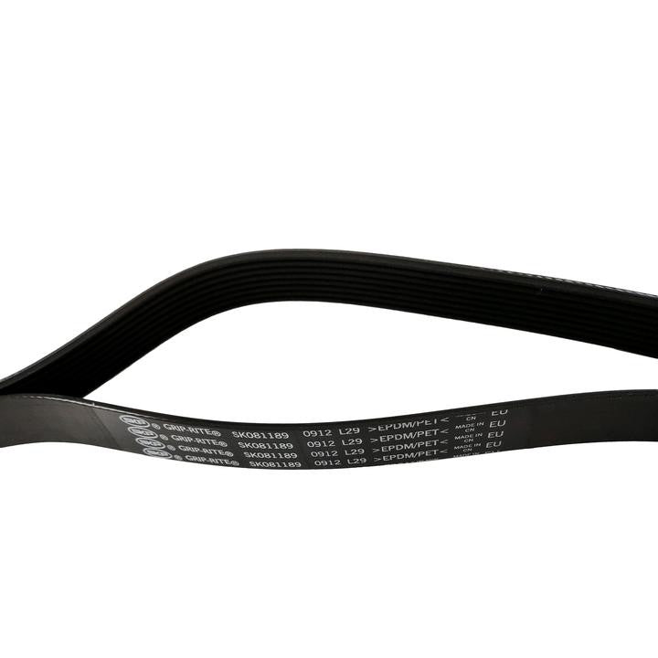 SKP Serpentine Belt SK081189