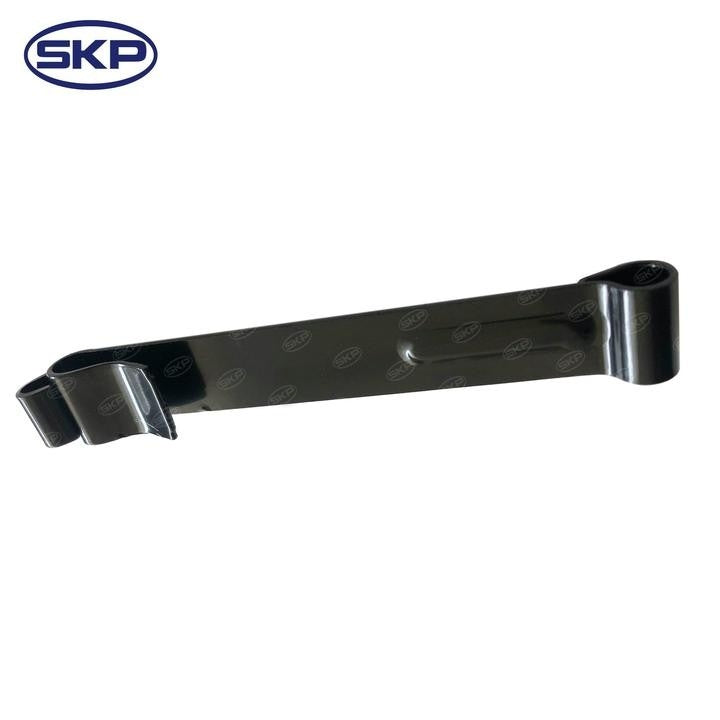 SKP Door Check Strap SK38449