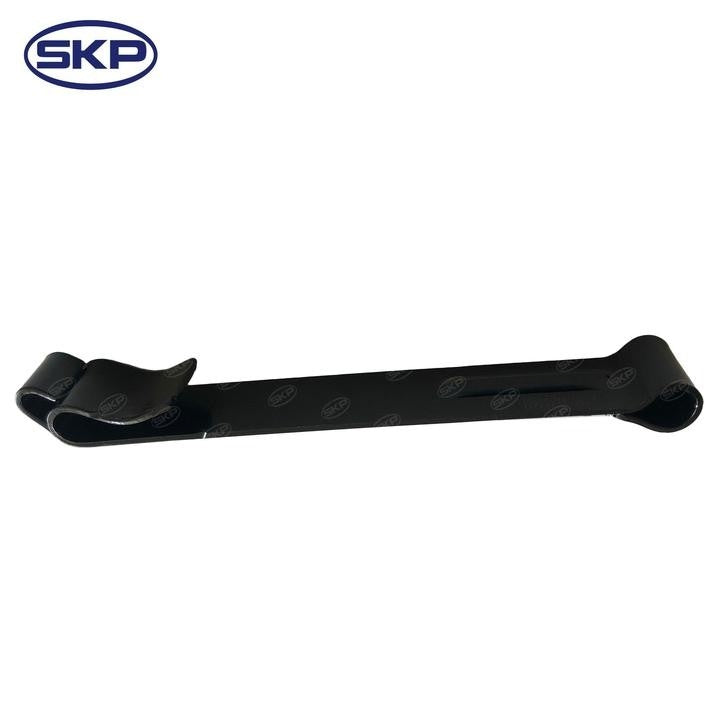SKP Door Check Strap SK38449