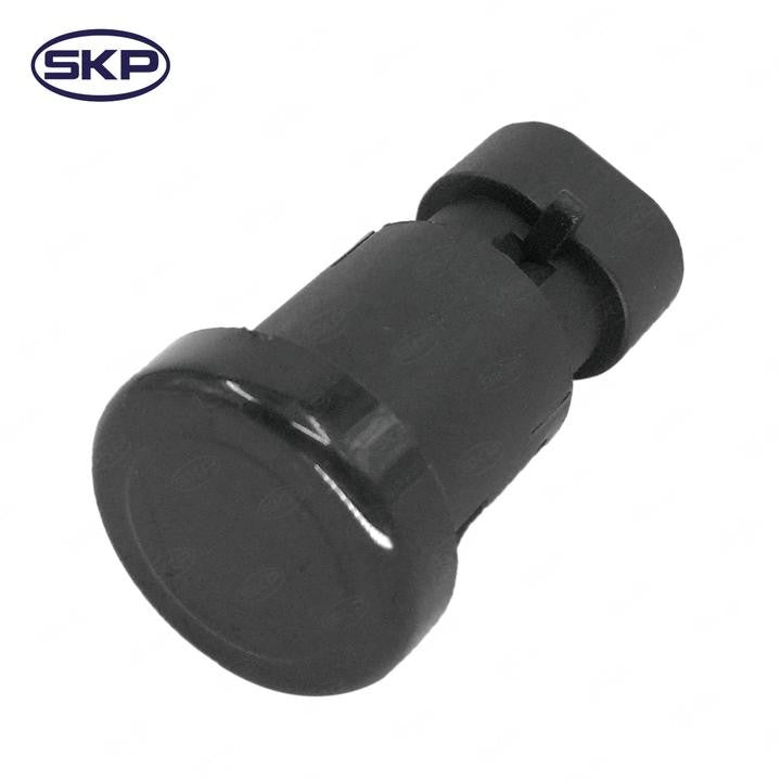 SKP Liftgate Window Release Switch SK901159
