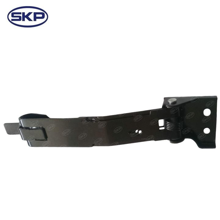 SKP Door Check Strap SK924156
