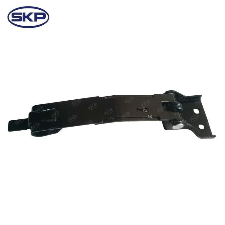 SKP Door Check Strap SK924156