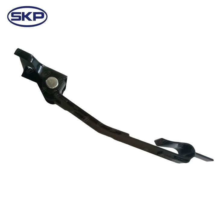 SKP Door Check Strap SK924156