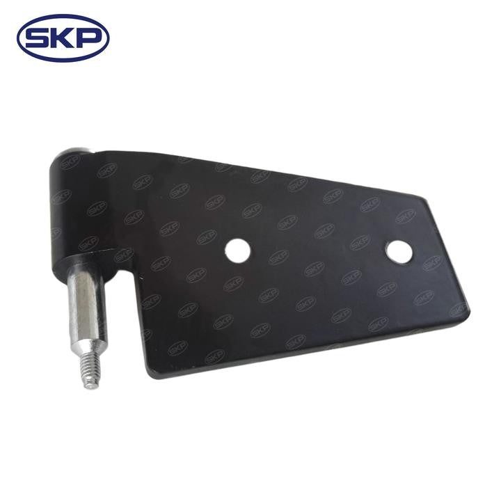 SKP Door Hinge SK925054