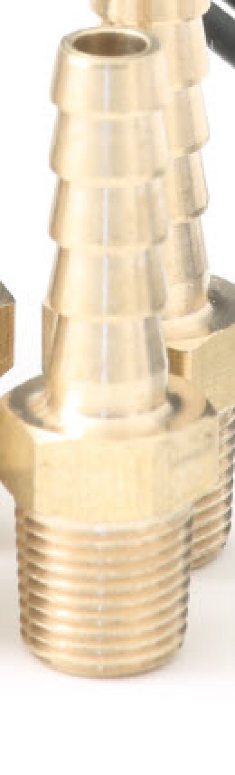 GFB 1/8in BSPT Hose Tail (each) 3846 3846 Photo - Primary