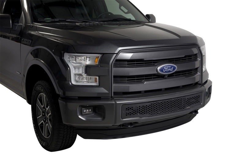 Putco 2015-2017, Ford F150 - Stainless Steel Black Punch Design 88160 Photo - Mounted