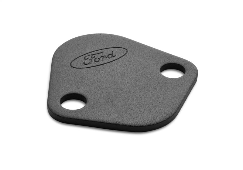 Ford Fuel Pump Block-Off Plate Black w/Ford Logo FRD302-291 302-291 Photo - Unmounted