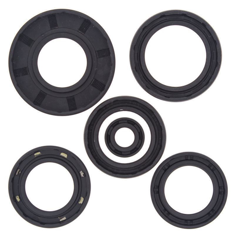 QuadBoss Qb Oil Seal Set 564151 564151 Photo - Primary