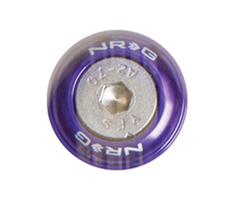 NRG Fender Washer Kit, Set of 10, Purple, Rivets for Metal FW-110PP Photo - Primary