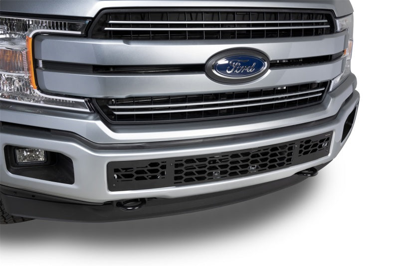 Putco 18-20 Ford F-150 - Hex Shield - Black Powder Coated Bumper Grille Inserts 83161 83161 Photo - Mounted