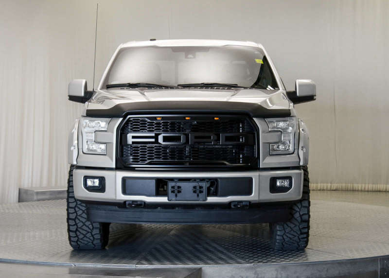 EGR 15+ Ford F150 Superguard Hood Shield - Matte (303475) 303475 303475 Photo - Mounted