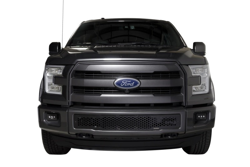 Putco 2015-2017, Ford F150 - Stainless Steel Black Punch Design 88160 Photo - Mounted