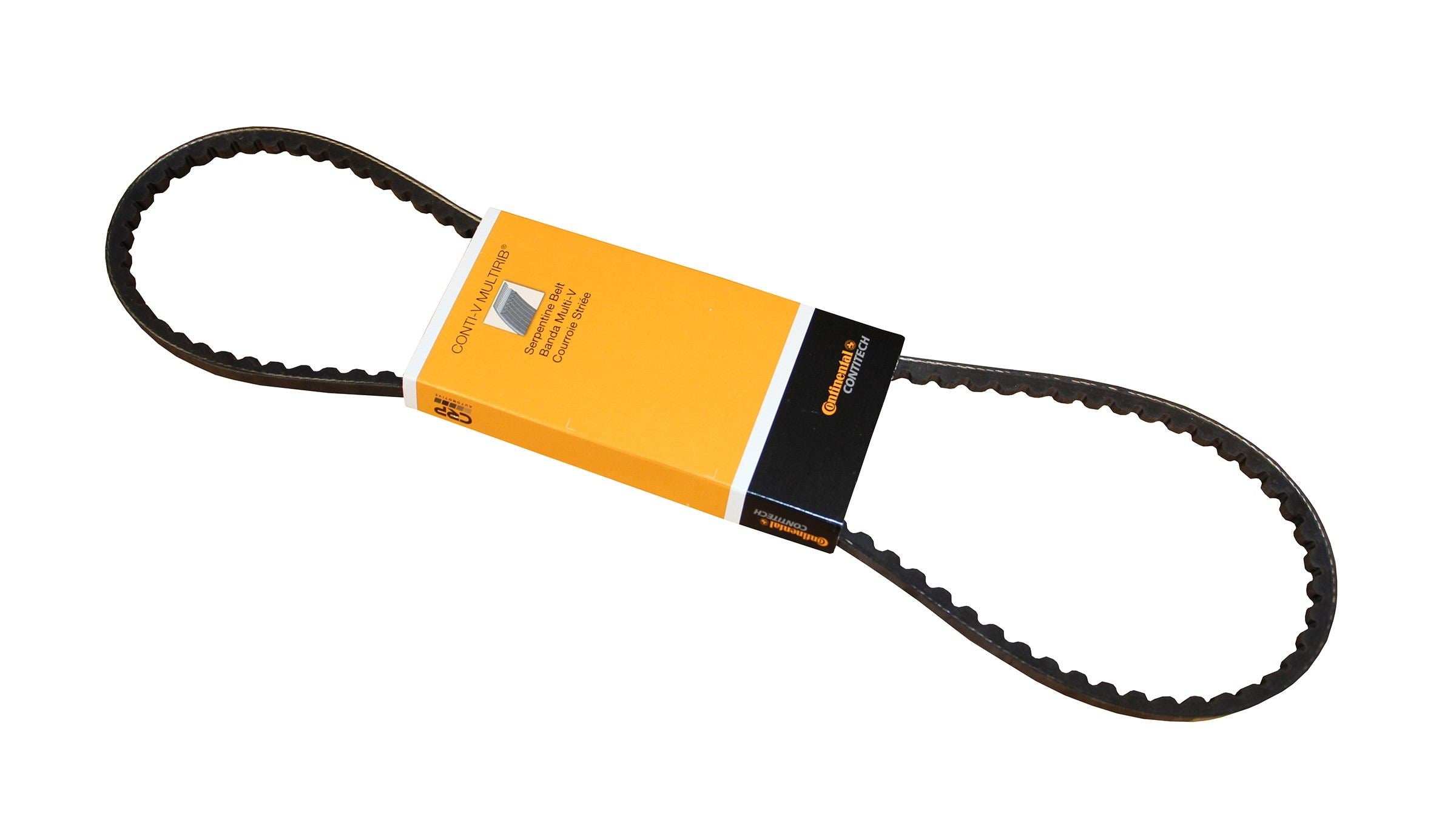 Continental Accessory Drive Belt 10X1005