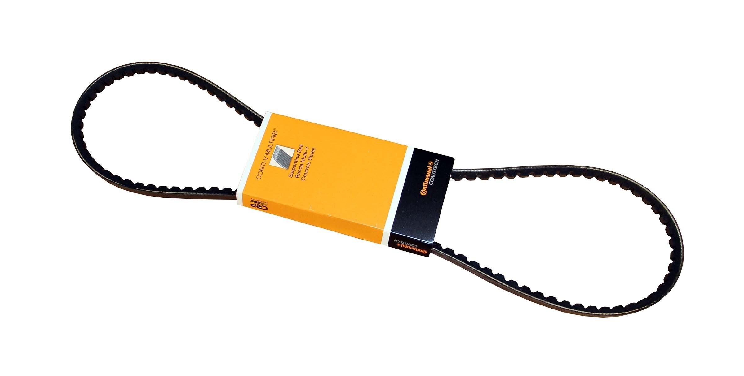 Continental Accessory Drive Belt 10X1125