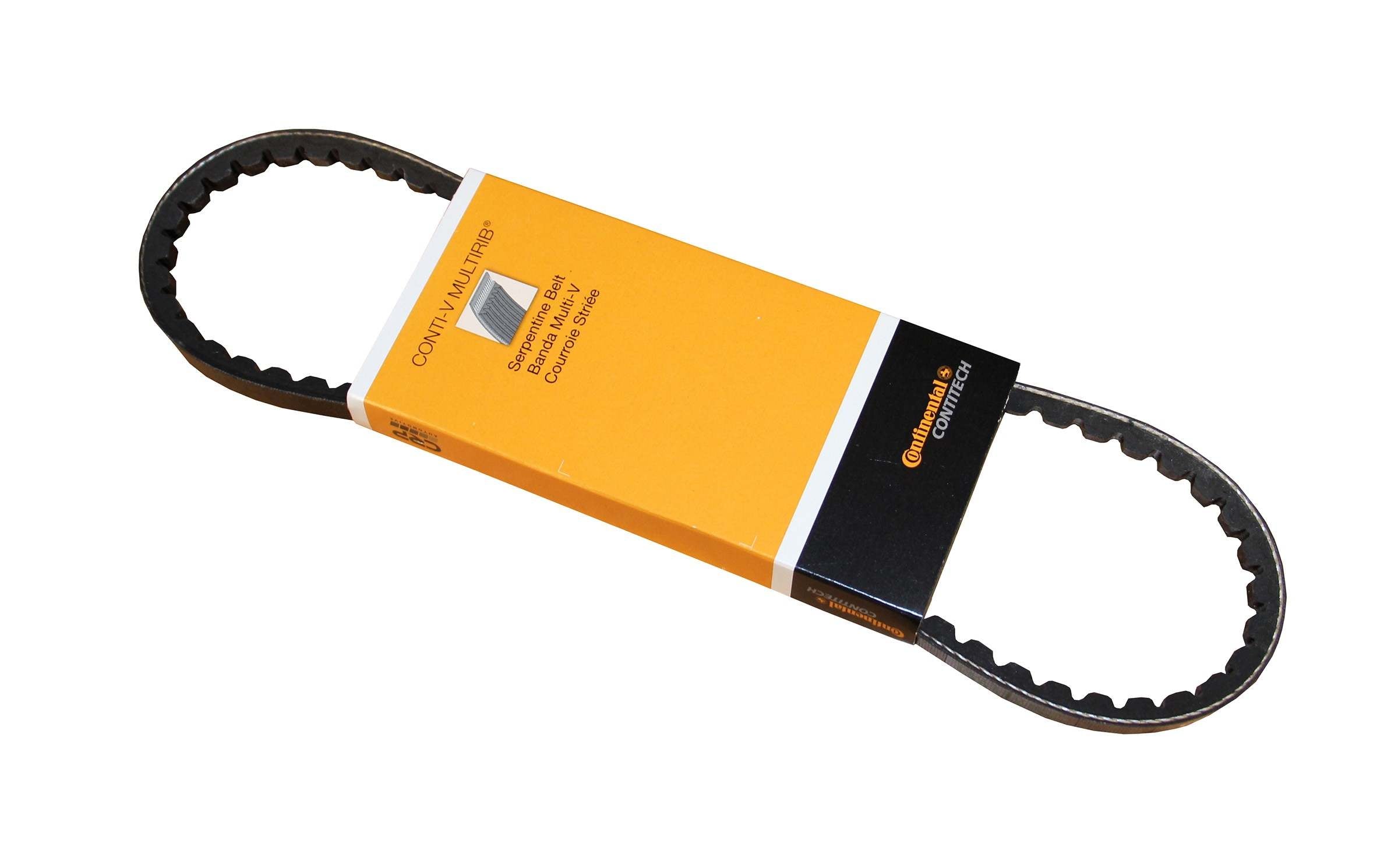 Continental Accessory Drive Belt 10X710