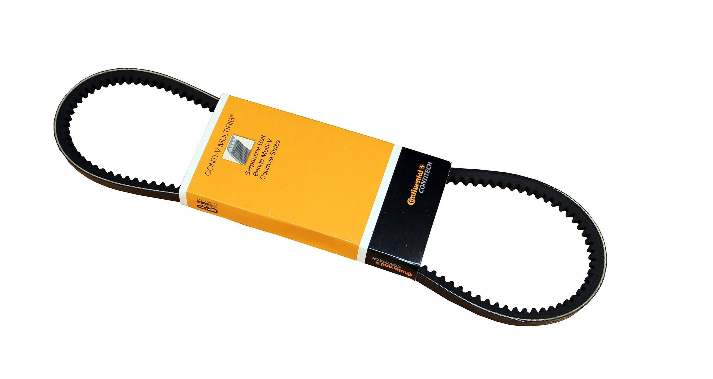 Continental Accessory Drive Belt 10X813