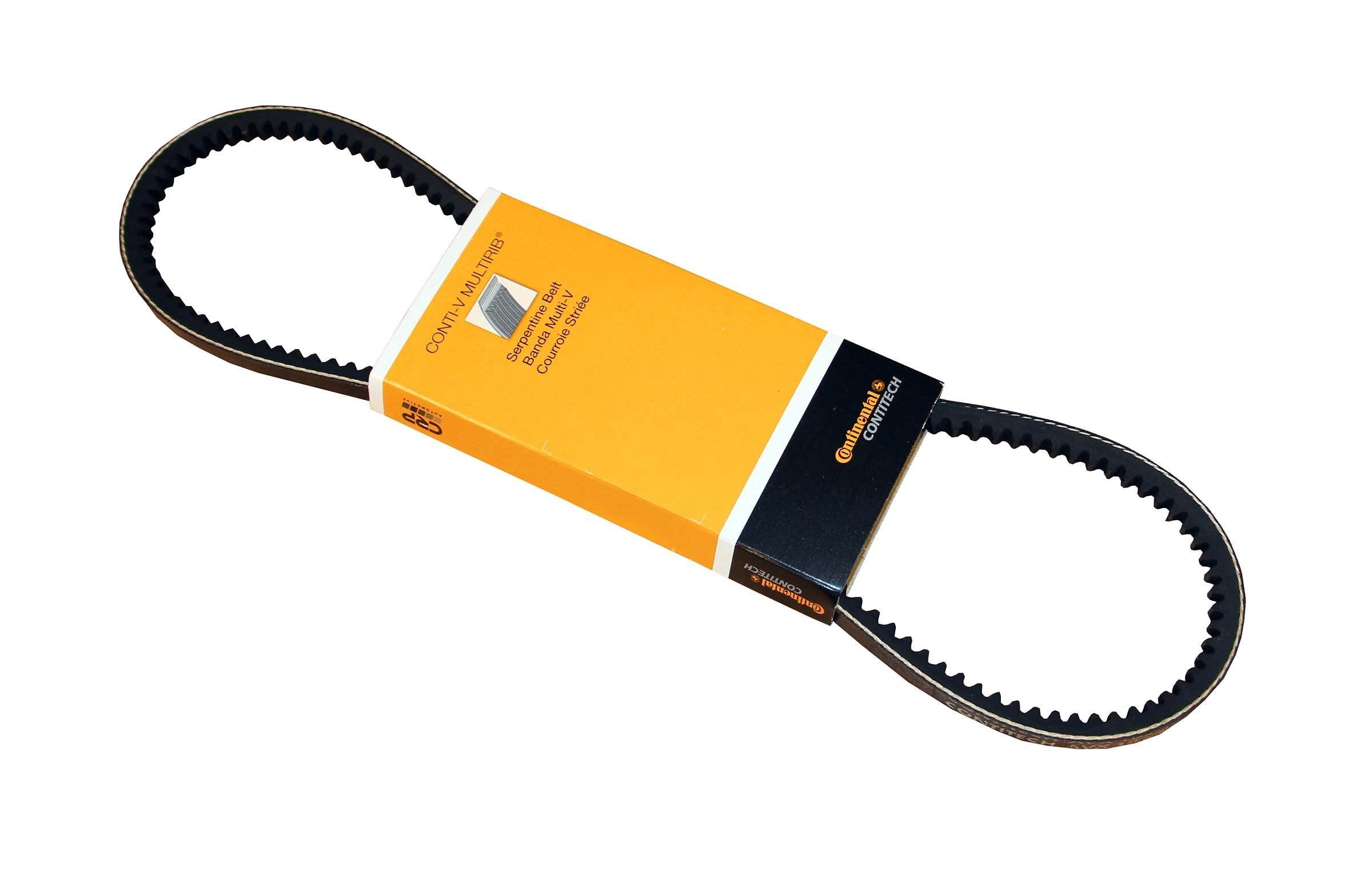 Continental Accessory Drive Belt 10X825