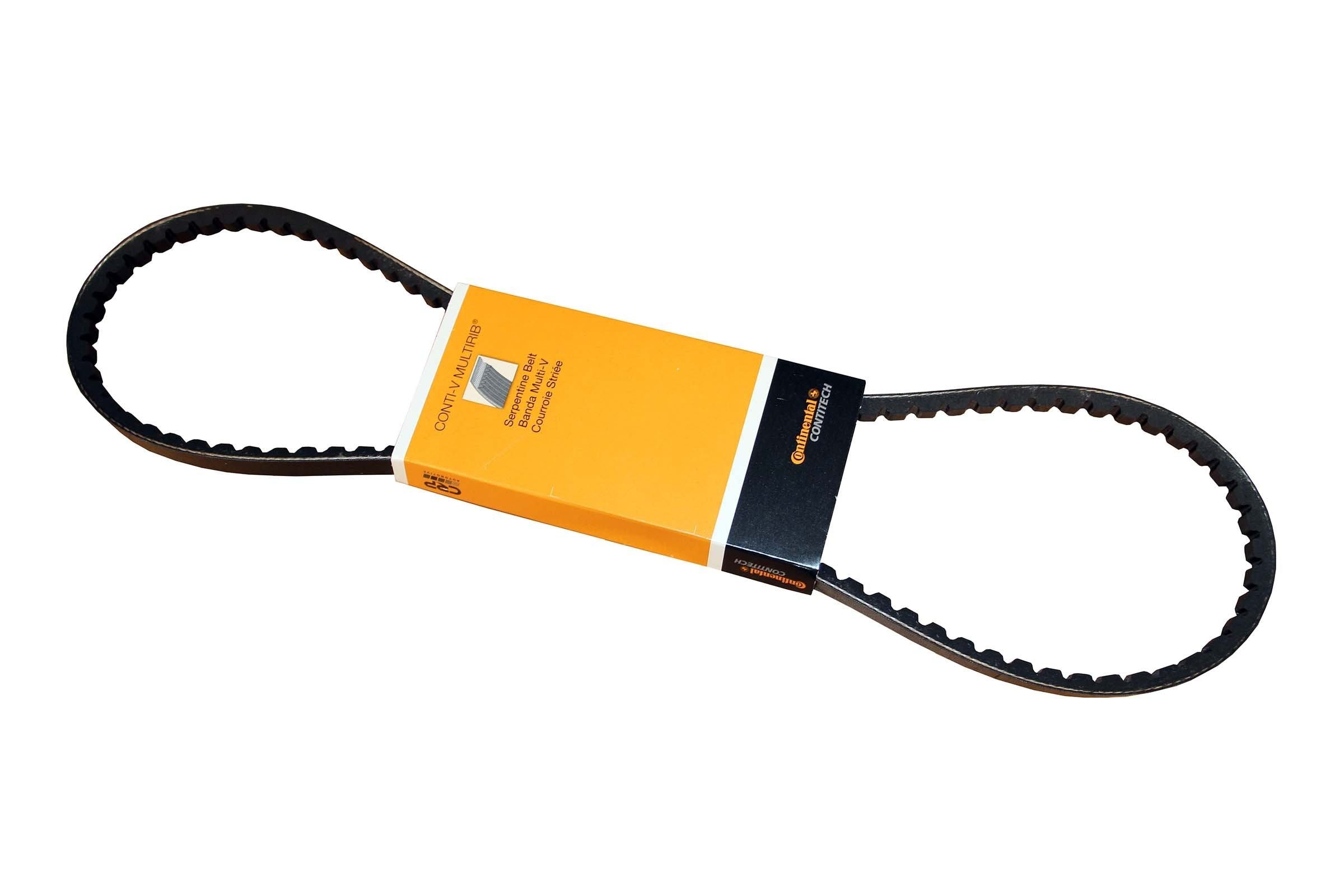 Continental Accessory Drive Belt