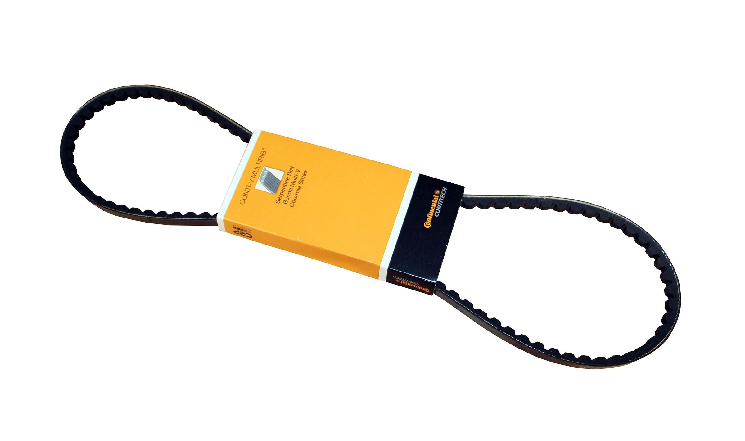 Continental Accessory Drive Belt 11-9X1013