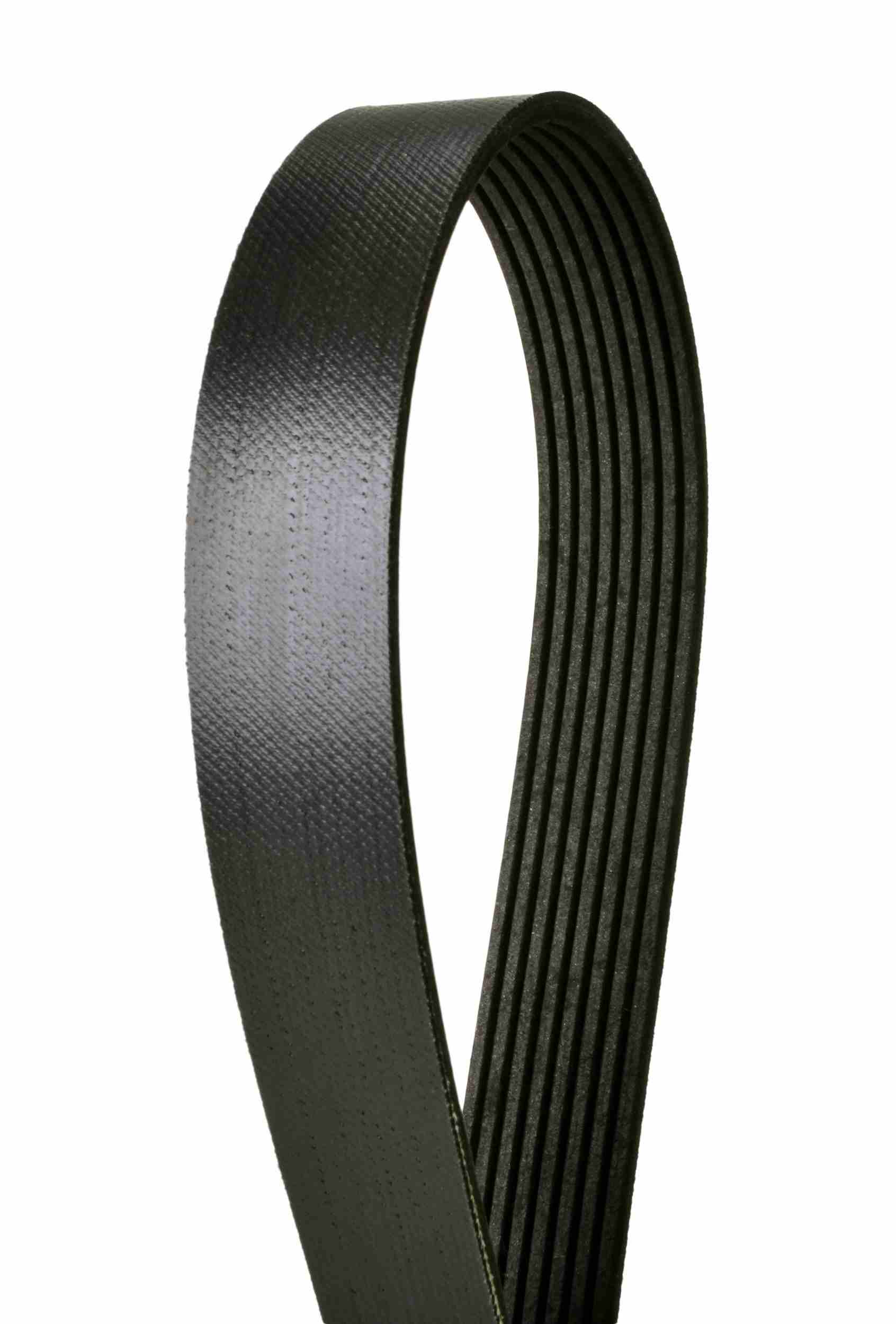 Continental Serpentine Belt 4080750