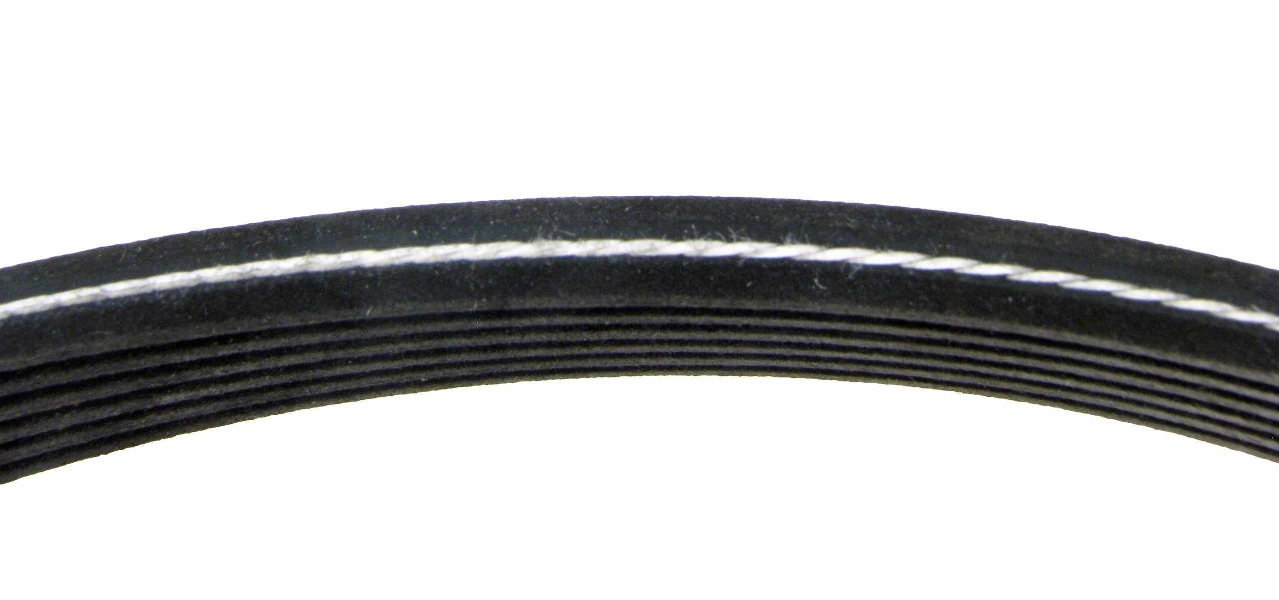 Continental Serpentine Belt 6DK1100