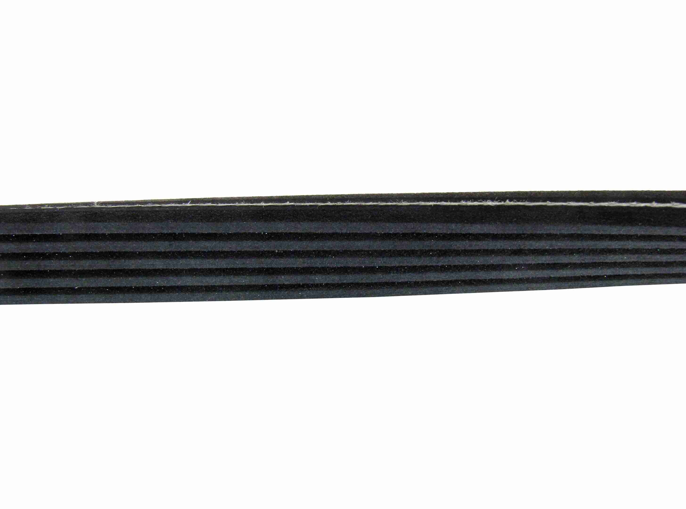 Continental Serpentine Belt D4050610