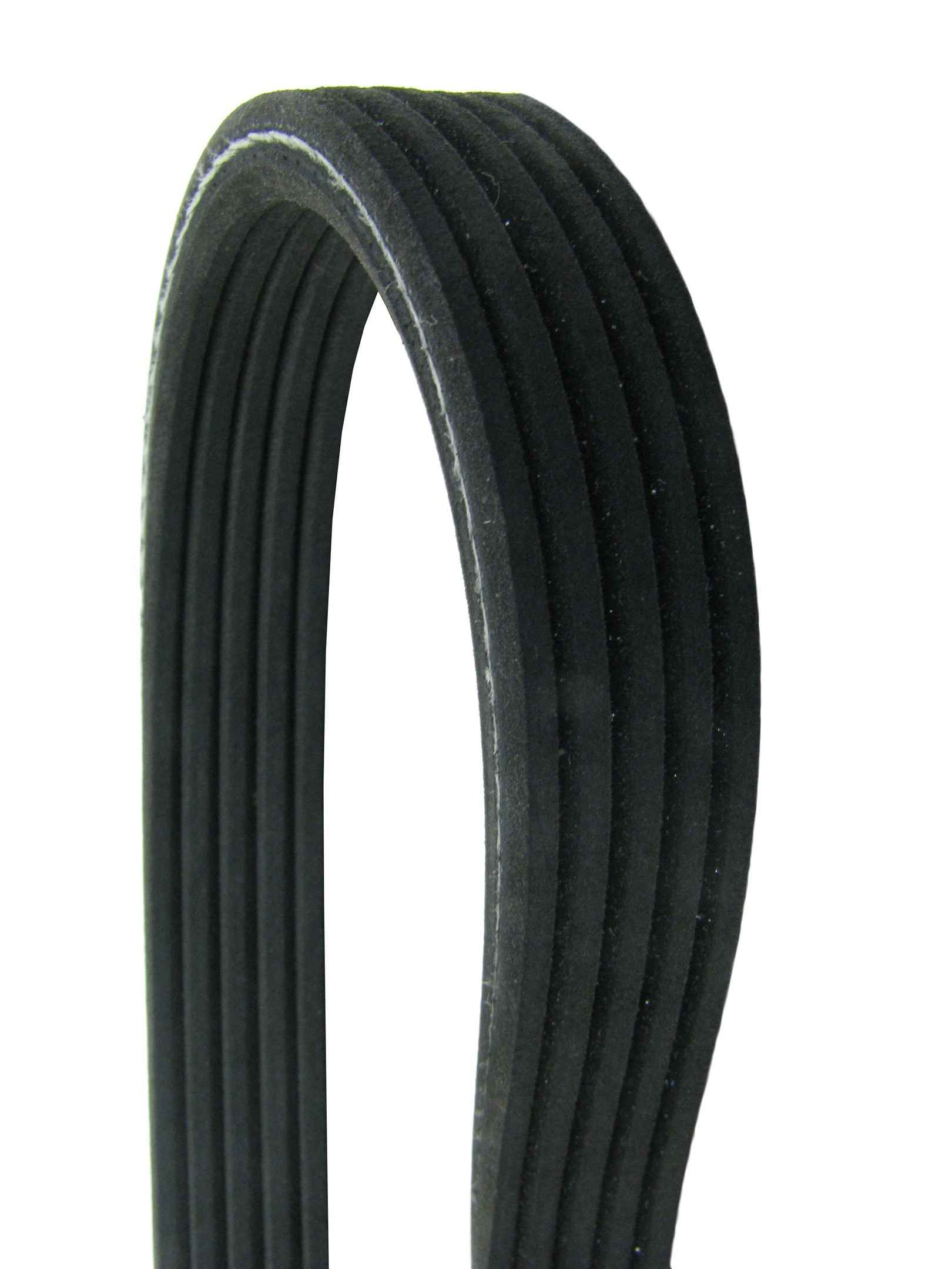 Continental Serpentine Belt D4050610